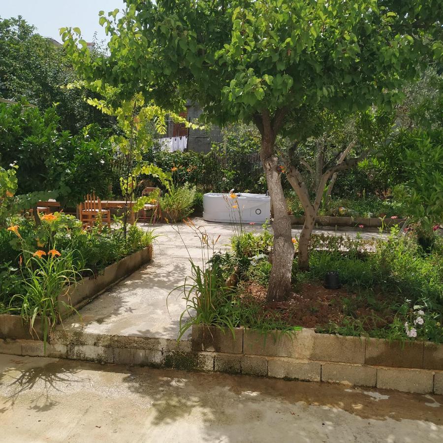 ティラナ Spacious House With A Big Garden And Fire Pitヴィラ エクステリア 写真