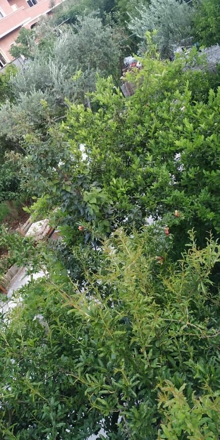 ティラナ Spacious House With A Big Garden And Fire Pitヴィラ エクステリア 写真