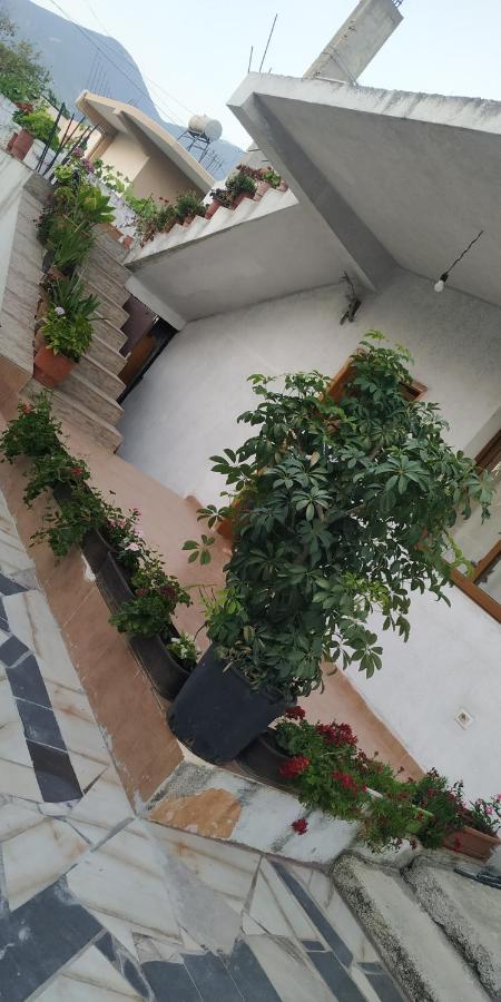 ティラナ Spacious House With A Big Garden And Fire Pitヴィラ エクステリア 写真